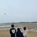 갈매기농장 이미지