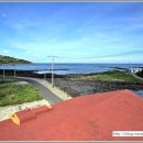 고팡하우스 이미지