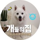 개들의 집 펫살롱 이미지