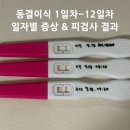 이식대교 인근 공중화장실 11-10-2 | [시험관 Ep.15] 서울역 차병원 동결이식 후 증상(1일차~1차 낮은 피검, 2차 피검사 결과)