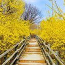 주정차단속-53 이미지