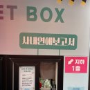 [혜화/대학로] 로맨틱코미디 사내연애보고서 관람 후기 / 대학로 연극 추천, 할인 방법