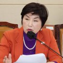 전혜숙 카카오 검색결과