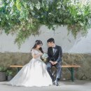 [W21]웨딩촬영 강남 페레 스튜디오 셀렉 후기(원본,추가비용,빨리 셀렉하는 꿀팁) ::