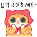 뒹굴뒹굴고양이 이미지