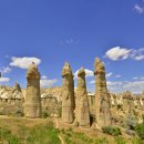 화이트벨리 이미지