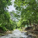 청수원식당 이미지