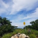 개림초등학교 이미지