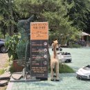 남양주 베이커리 카페 소유 (SO YOU) 브런치, 새벽 드라이브 후기 / 별내 대형카페