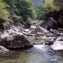 내원사계곡(내원사) 이미지