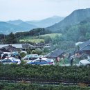 삼아카센타 이미지