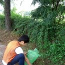 탄동천1 이미지