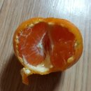 베짱이농원