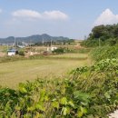 농암경로당 이미지