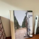 라비브 이미지