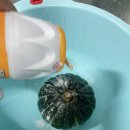 시항골농장영농조합법인 | 고창마켓 미니 밤호박 남녀노소 건강간식으로 좋아요