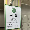 [서초] 배달 맛집 김밥계의 에르메스 “식물원김밥” 포장 후기 (+매장 찾아가는 길 동영상 첨부)