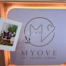 캣츠문(고양이 미용, 호텔) | [인천 송도] 송도 고양이 미용 호텔“묘브”Myove 미용/스파 후기🐈‍⬛✂️😺