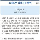 nitpick 이미지