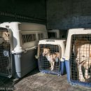 상식농장 이미지