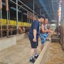 김억수농장 네이버블로그
