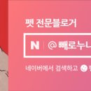 견식파티 이미지