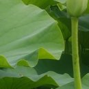 청연마을 이미지