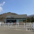 안씨목장 이미지