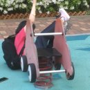 이솔유치원 | 밝아버린 새해의 인사