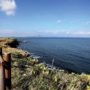 해변장여관 이미지