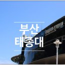 부산 가볼만한곳 - 영도 태종대 방문 후기