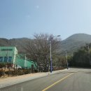 분청마루