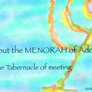 수원-0489 이미지