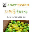 이창희농장 | [공지] 가을 제철 귤 유라조생 수확, 주문환영합니다