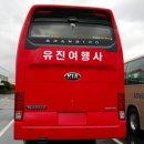 유진여행사 Daum카페