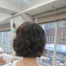 라니,살롱