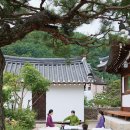 건축사사무소엔씨에스랩 | TALE & DETAIL | 봄의 시작, 성장할 결심