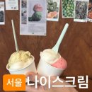 나이스크림 - 평택시 원평2로 27 | 내돈내산 피스타치오, 레몬, 루비키위, 쌀 맛 후기ㅣ재료 맛이 살아있는 인생 젤라또 나이스크림