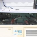 동신횟집 이미지