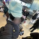 제나's 펫택시 | 🇫🇮 로바니에미 오로라 무조건 본다 - 레전드가성비오로라투어•로바니에미맥도날드•산타마을•에어비앤비