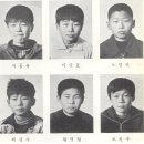 조천수 Daum카페