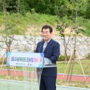 교동숲 이미지