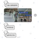 시작과 끝을 함께하는 NCT127 The momentum 도쿄돔 후기 / 250522