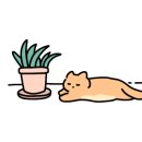 오도도 노리 이미지