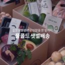 유일콜드 이미지