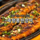 전남 담양 국수거리 맛집 죽향풍천장어 특장어정식 후기