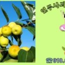 성일카부분정비 이미지