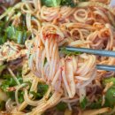 롯데택배 합천초계점 | 생생정보 부여 닭개장 초계국수 맛집 위치