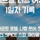 알서프 이미지