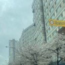 신혼여행 후 미국 출국 전 일기